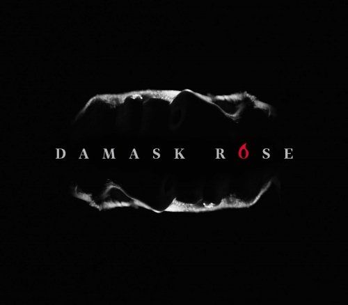 damask_rose